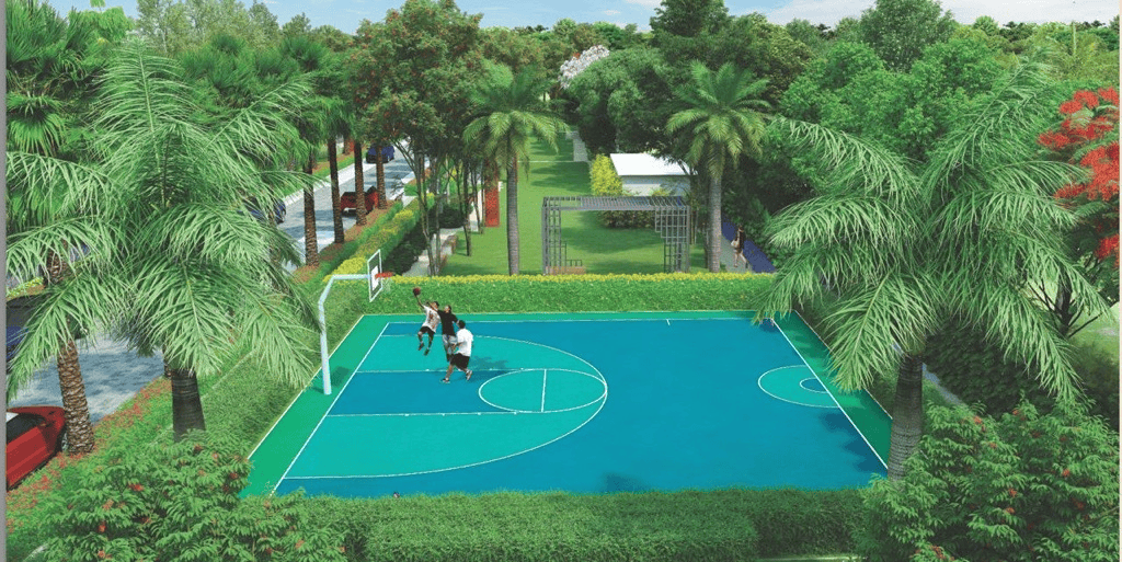 Basketball Court
